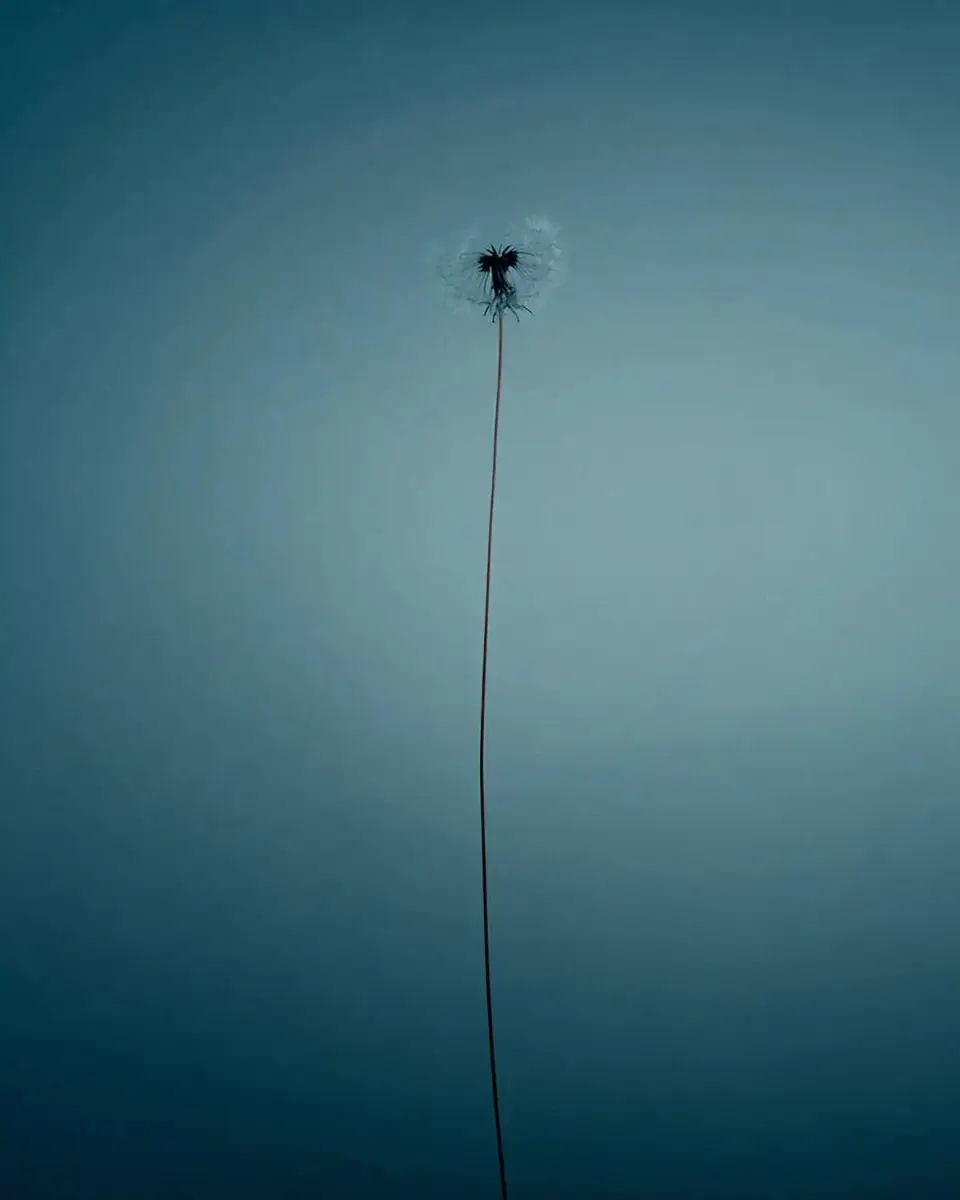 Imagined №26, AI Campaign, photographed for Digital Art by photographer Christoph Neumann, Berlin